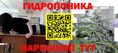 apvp Обнинск