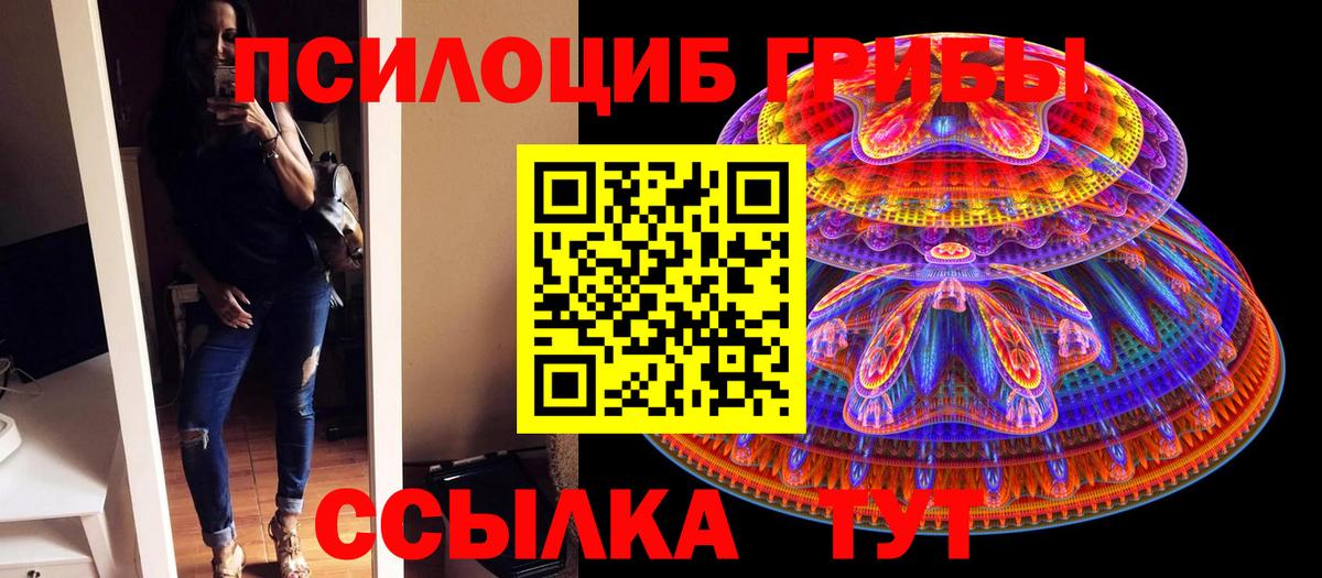 Галлюциногенные грибы Cubensis Осинники