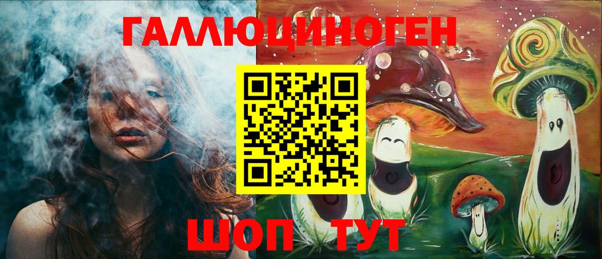 Осинники  Псилоцибиновые грибы Psilocybine cubensis  Вход с VPN 